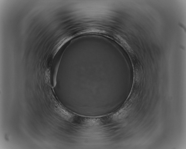 X0000097791369200804041226