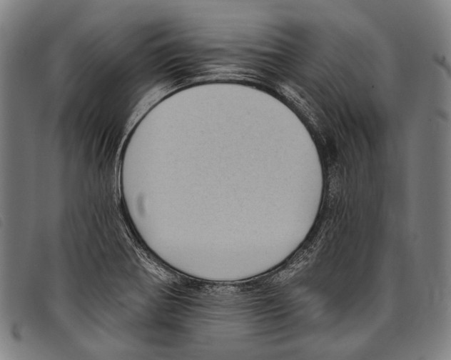X0000097791370200804041226