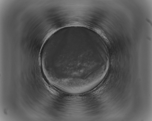 X0000097791372200804041226