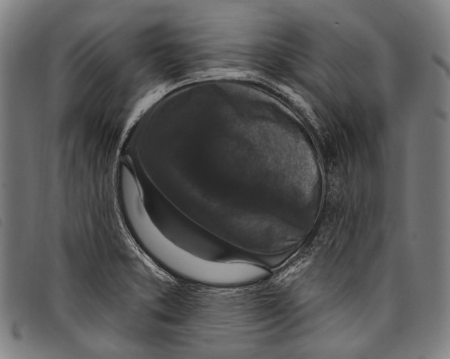X0000097791373200804041226