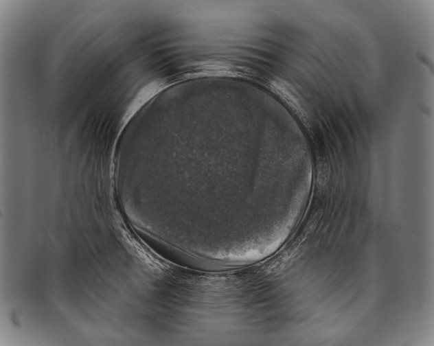 X0000097791378200804041226