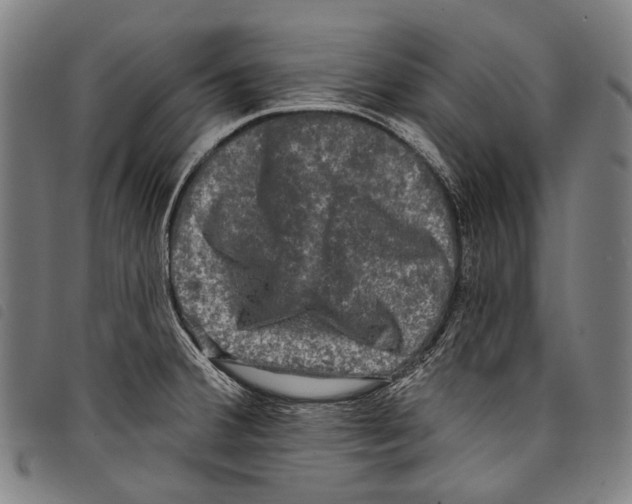 X0000097791380200804041226