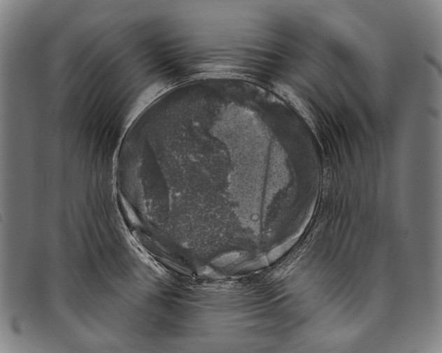 X0000097791386200804041226