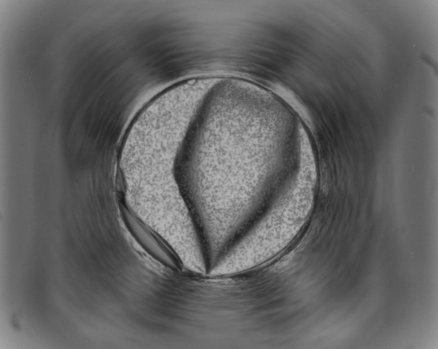 X0000097791388200804041226