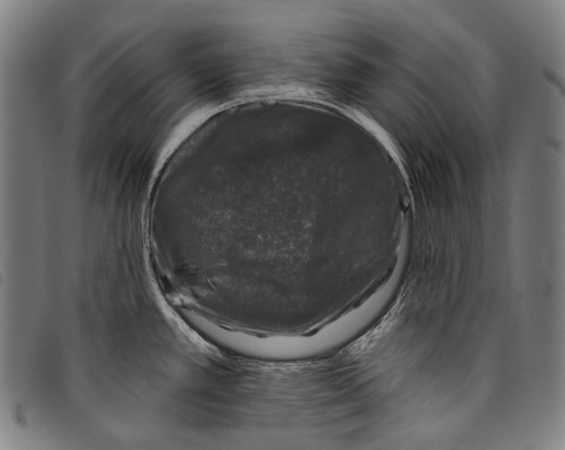 X0000097791389200804041226