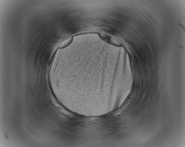 X0000097791390200804041226