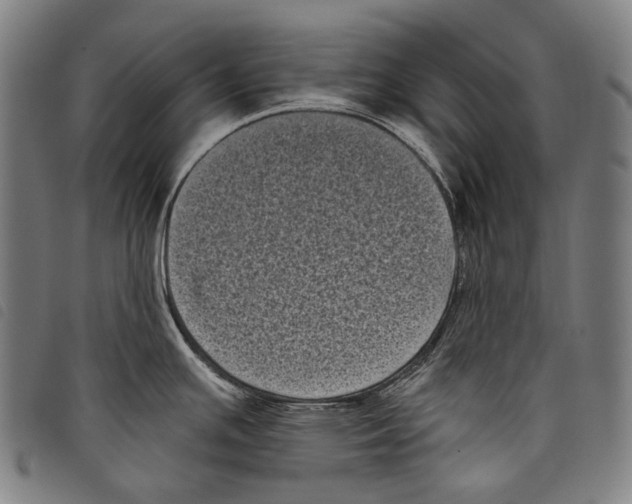 X0000097791391200804041226