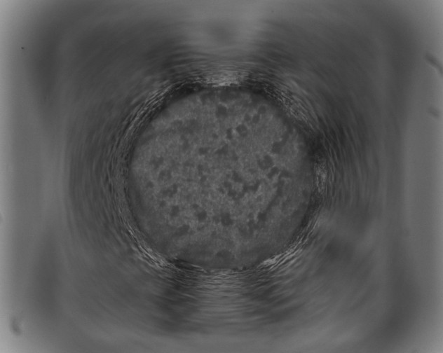 X0000097791393200804041225