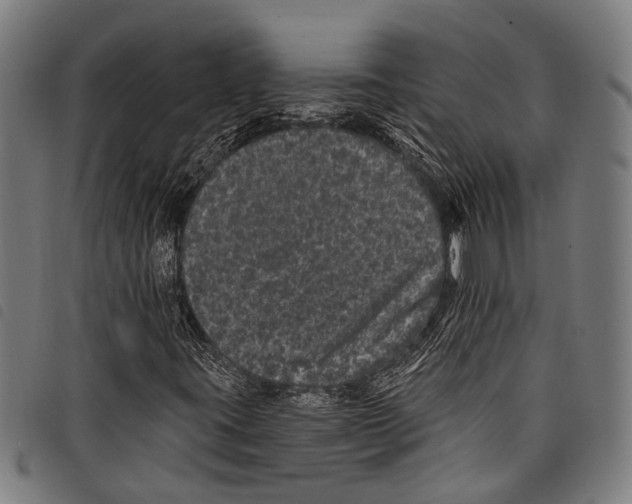 X0000097791395200804041225