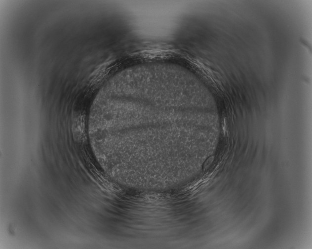 X0000097791396200804041225
