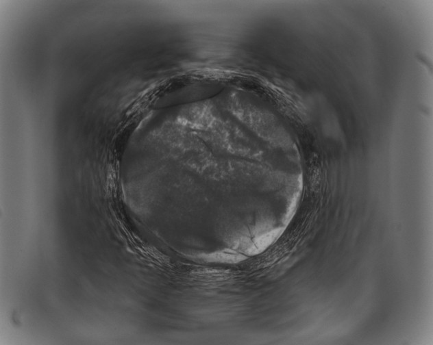 X0000097791397200804041225