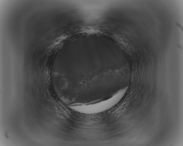 X0000097791398200804041225