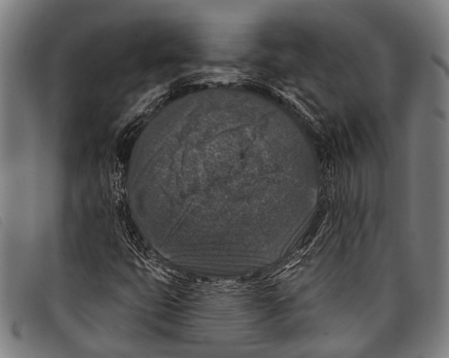 X0000097791399200804041225