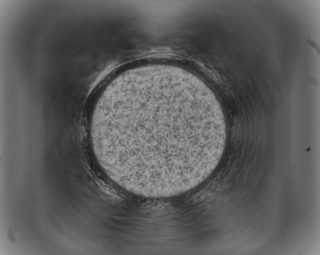 X0000097791400200804041225