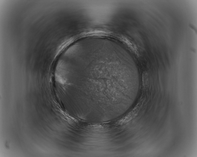 X0000097791405200804041225