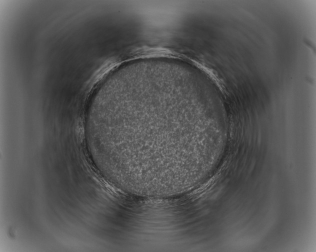 X0000097791407200804041225
