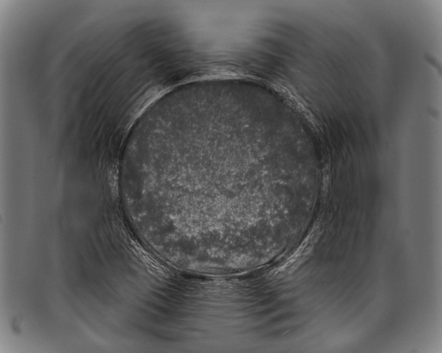 X0000097791409200804041225