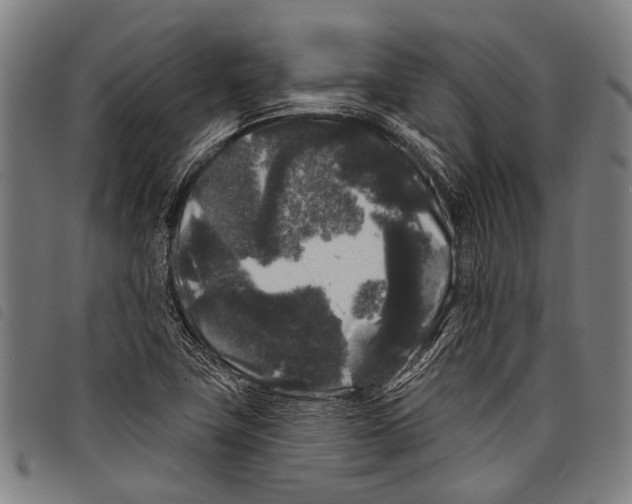 X0000097791411200804041225