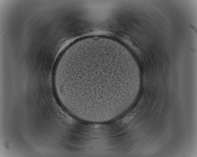X0000097791412200804041226