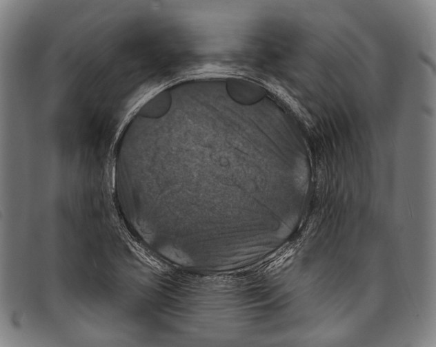 X0000097791413200804041226