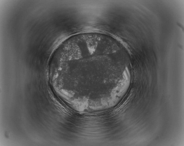 X0000097791415200804041226