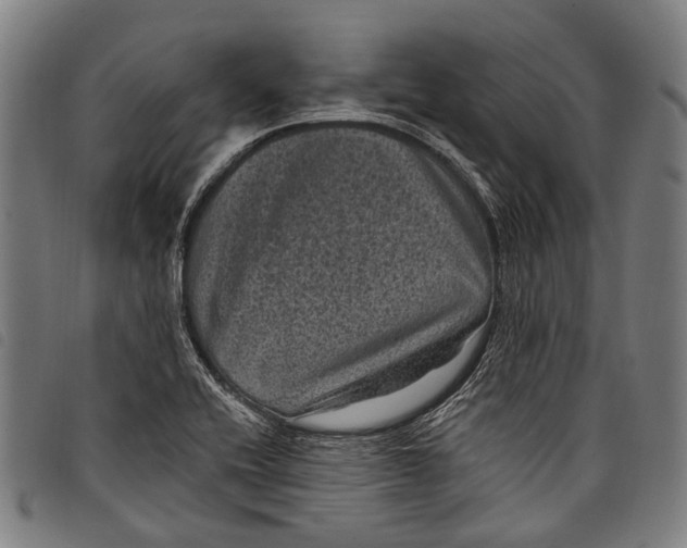 X0000097791416200804041226