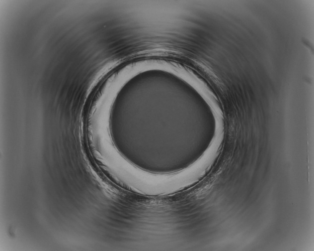 X0000097791418200804041226