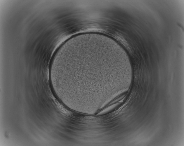 X0000097791420200804041226