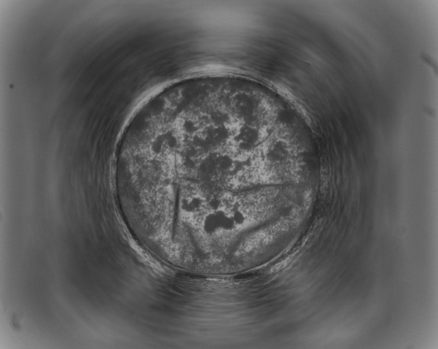 X0000097791421200804041226