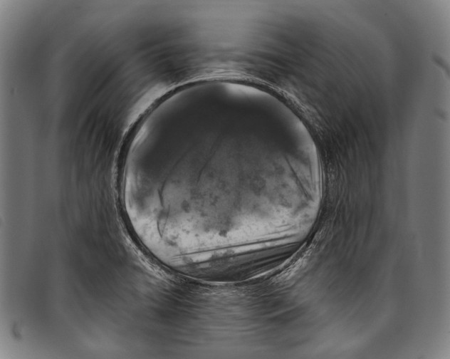 X0000097791422200804041226