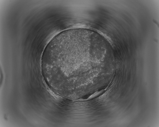 X0000097791423200804041226