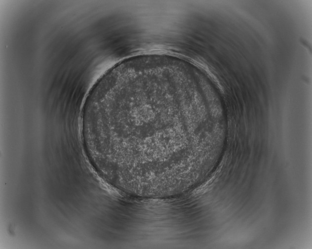 X0000097791424200804041226
