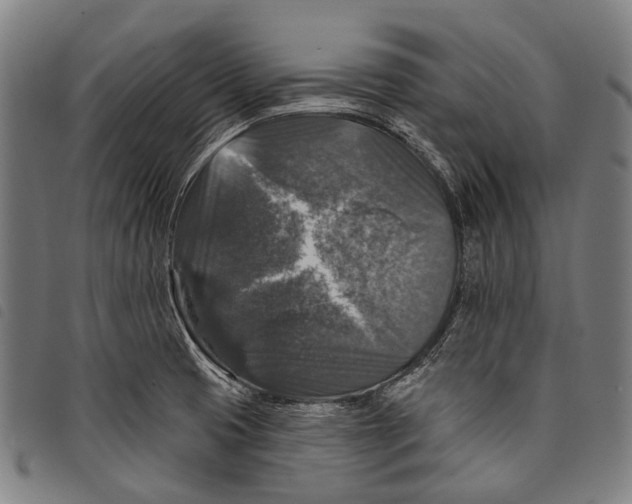 X0000097791425200804041226