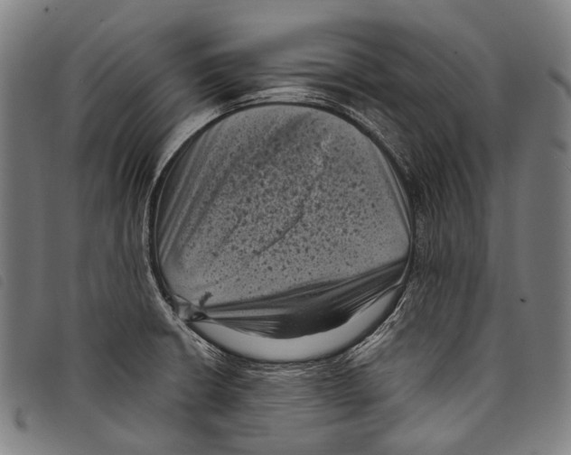 X0000097791426200804041226