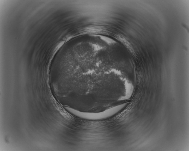 X0000097791427200804041226