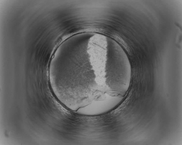 X0000097791428200804041226