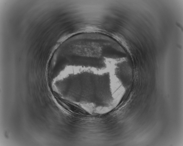 X0000097791429200804041226