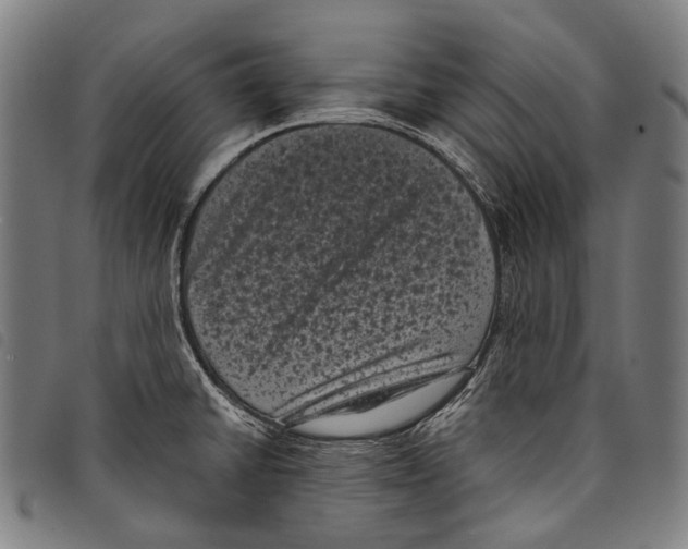 X0000097791430200804041226
