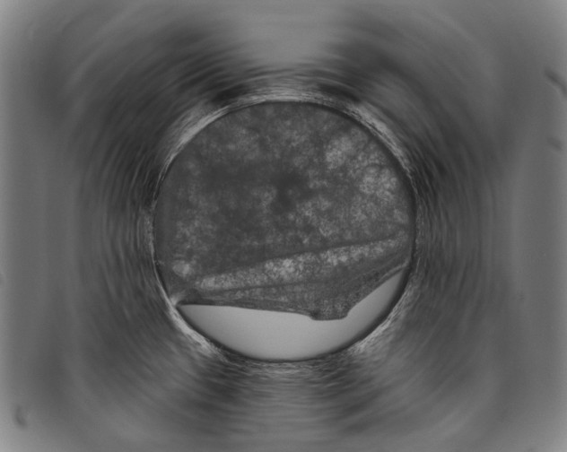 X0000097791433200804041226