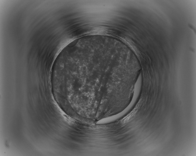X0000097791434200804041226