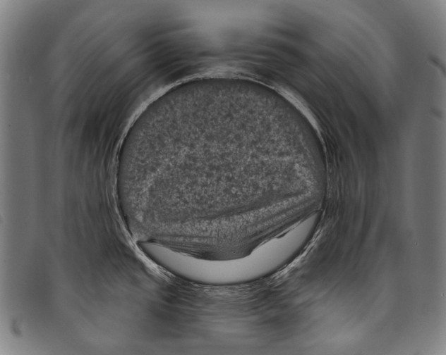 X0000097791437200804041226