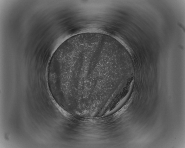 X0000097791438200804041226