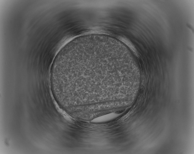 X0000097791439200804041226