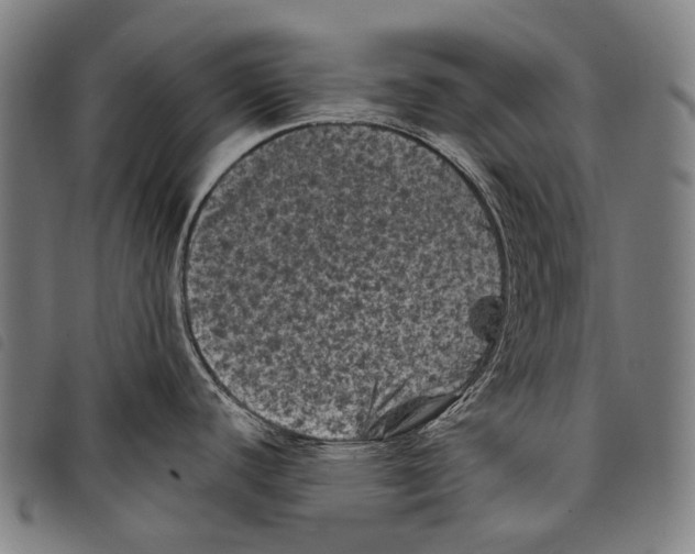 X0000097791440200804041226