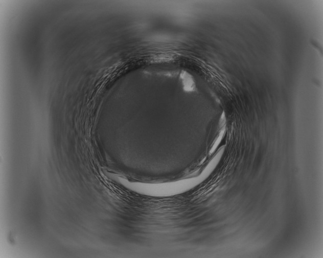 X0000097791441200804041225