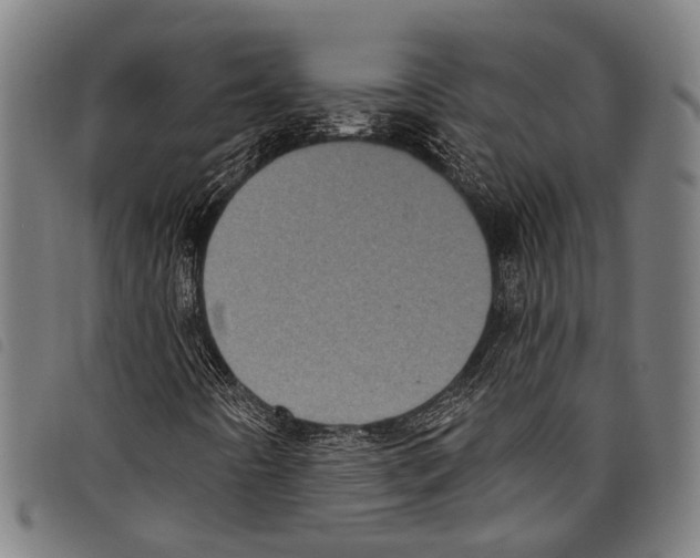 X0000097791442200804041225