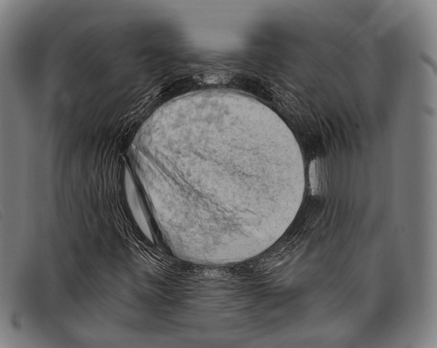 X0000097791443200804041225
