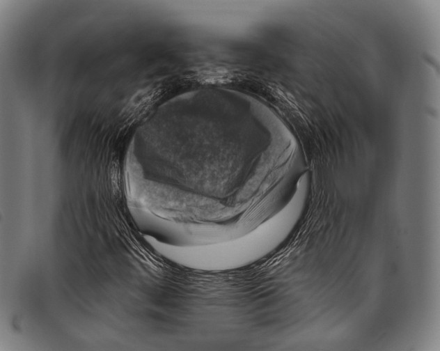 X0000097791444200804041225
