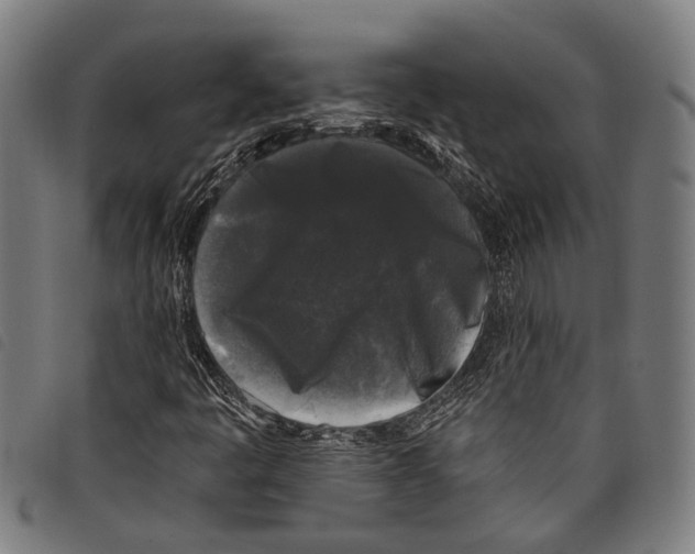 X0000097791445200804041225