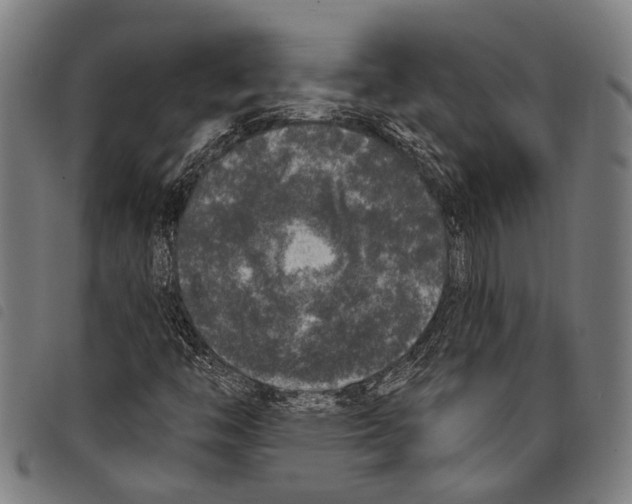 X0000097791446200804041225